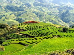 Những phong cảnh thiên nhiên đẹp và thơ mộng nhất Việt Nam 2