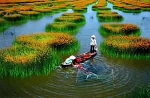 Những phong cảnh thiên nhiên đẹp và thơ mộng nhất Việt Nam 7