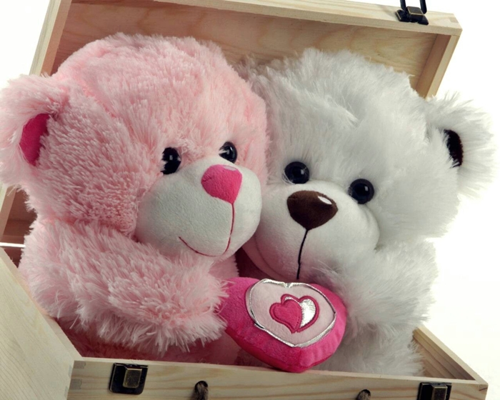 Hình ảnh những chú gấu teddy vô cùng dễ thương mà bạn sẽ thích ngay 6