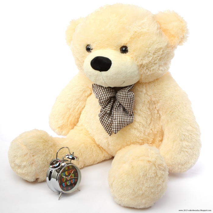 Hình ảnh những chú gấu teddy vô cùng dễ thương mà bạn sẽ thích ngay 7