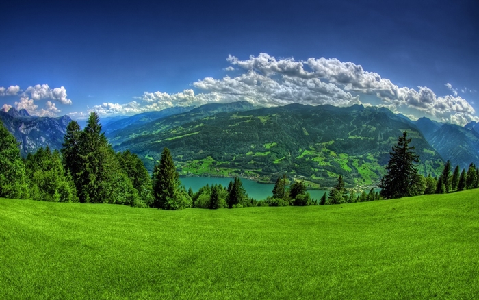 Hình ảnh những thảm cỏ xanh mướt sẽ khiến bạn muốn ngả mình trải nghiệm 2