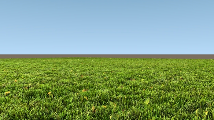 Hình ảnh những thảm cỏ xanh mướt sẽ khiến bạn muốn ngả mình trải nghiệm 7