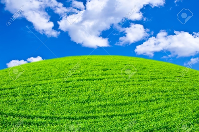 Hình ảnh những thảm cỏ xanh mướt sẽ khiến bạn muốn ngả mình trải nghiệm 8