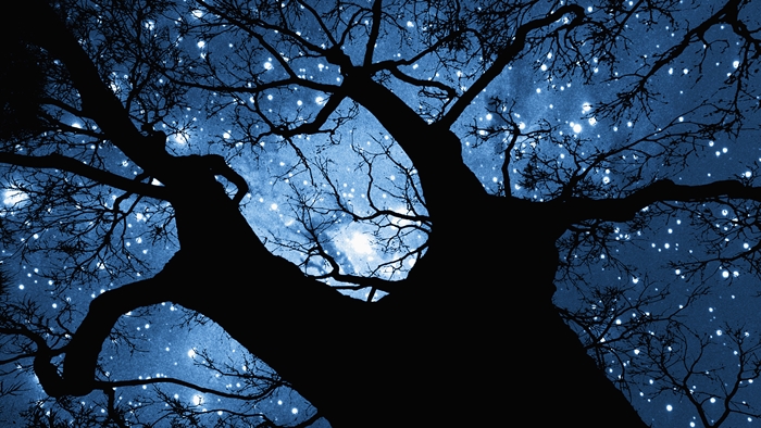 Những bức ảnh bầu trời đêm đầy sao đẹp lung linh huyền ảo 6