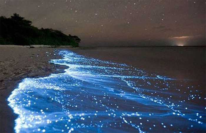 Những hình ảnh biển đêm lung linh huyền ảo tạo cảm giác vô cùng đặc biệt 9