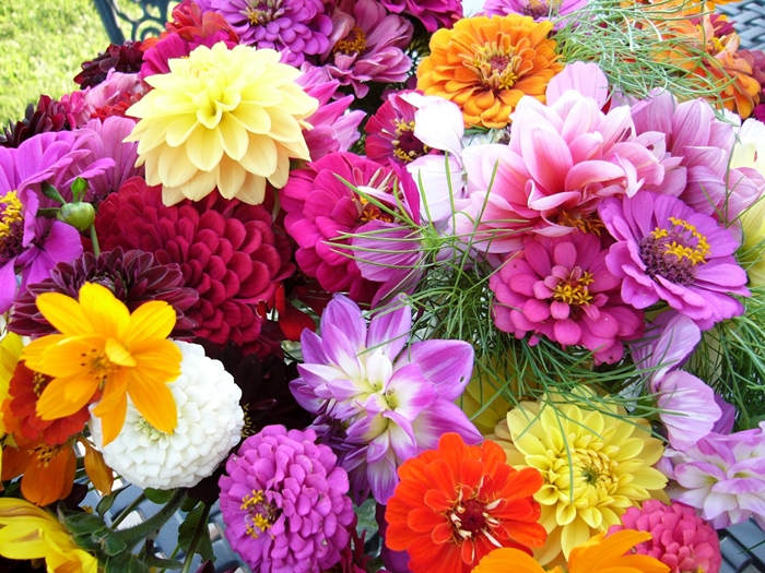 Tuyển tập hình ảnh hoa xuân đẹp tuyệt vời và vô cùng thơ mộng 11