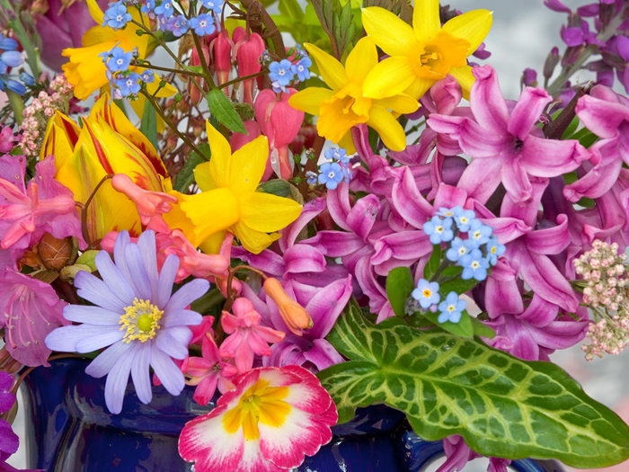 Tuyển tập hình ảnh hoa xuân đẹp tuyệt vời và vô cùng thơ mộng 3