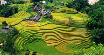 Hình ảnh những nét văn hóa độc đáo hấp dẫn du khách quốc tế của Việt Nam 1