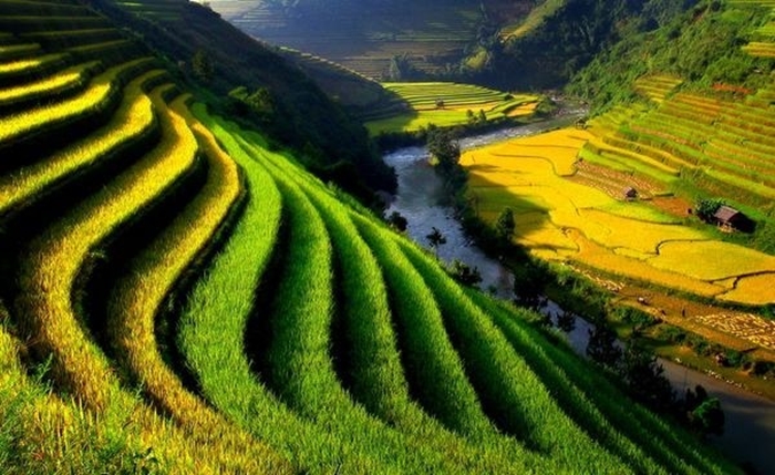 Những hình đẹp về làng quê Việt Nam qua ống kính các nhà nhiếp ảnh 4