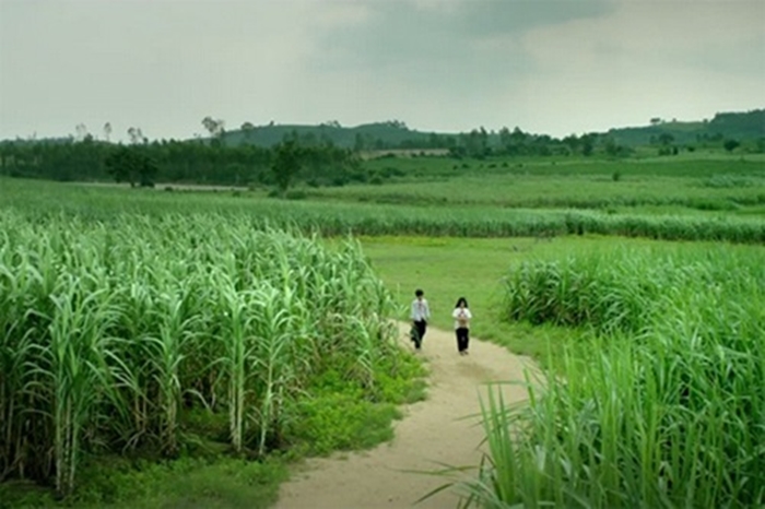 Những hình đẹp về làng quê Việt Nam qua ống kính các nhà nhiếp ảnh 5