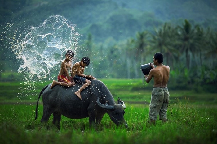 Những hình đẹp về làng quê Việt Nam qua ống kính các nhà nhiếp ảnh 8