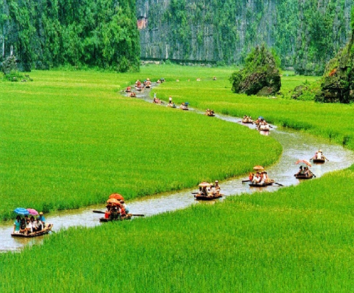 Vẻ đẹp bình dị của những cánh đồng lúa nơi thôn quê Việt Nam-8