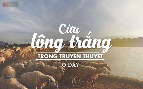 Du lịch Ninh Thuận qua những hình ảnh đẹp nhìn là yêu liền 14