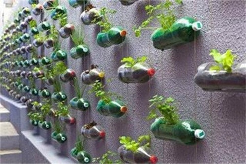 Tái chế chai nhựa trồng cây hộp bút chậu hoa đồ trang trí và nhiều vật dụng hữu ích 13