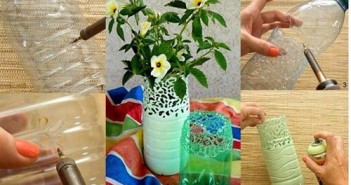 Tái chế chai nhựa trồng cây hộp bút chậu hoa đồ trang trí và nhiều vật dụng hữu ích 25