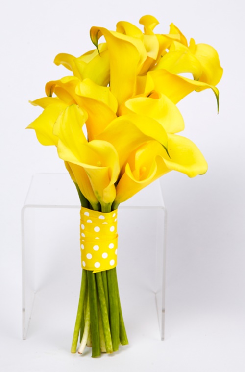 Hình ảnh hoa loa kèn trắng đỏ vàng đẹp trong tháng 4 25