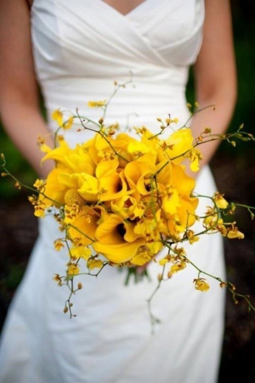 Hình ảnh hoa loa kèn trắng đỏ vàng đẹp trong tháng 4 26