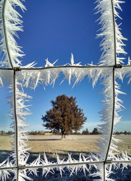 Hình ảnh mùa đông đẹp với những tác phẩm nghệ thuật từ thiên nhiên 11