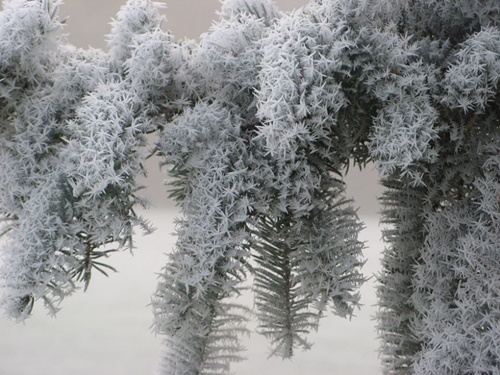 Hình ảnh mùa đông đẹp với những tác phẩm nghệ thuật từ thiên nhiên 18