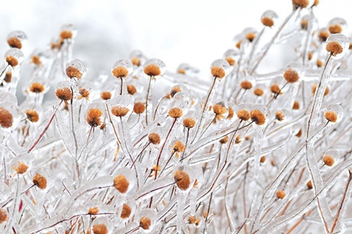 Hình ảnh mùa đông đẹp với những tác phẩm nghệ thuật từ thiên nhiên 24