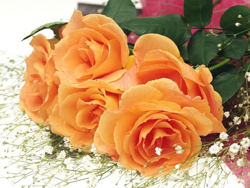 Hoa tặng mẹ ý nghĩa nhất trong ngày lễ vu lan 23