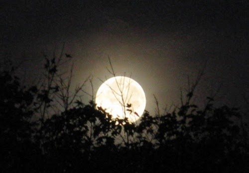 Ngắm trăng tròn đẹp hàn huyên tâm sự cùng gia đình trong lễ vu lan rằm tháng 7 4